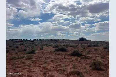 9518 Woodruff Hay Hollow Road, Snowflake, AZ 85937 - Photo 130