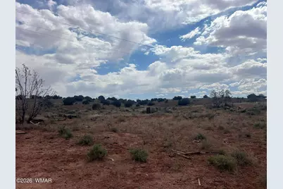 9518 Woodruff Hay Hollow Road, Snowflake, AZ 85937 - Photo 122