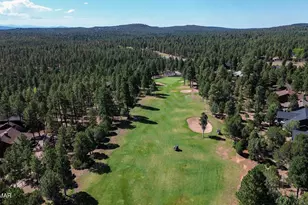 320 N Retreat Way, Show Low, AZ 85901 - Photo 64