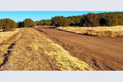 9 County Road 3036, Concho, AZ 85924 - Photo 8