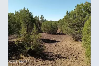 9 County Road 3036, Concho, AZ 85924 - Photo 2