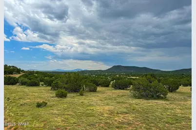 9 County Road 3036, Concho, AZ 85924 - Photo 6