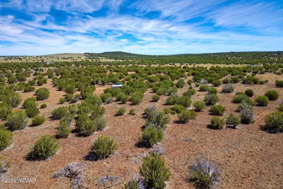 84 County Road N8149 Road, Concho, AZ 85924 - Photo 6