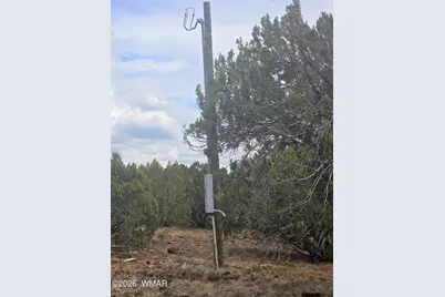 84 County Road N8149 Road, Concho, AZ 85924 - Photo 8