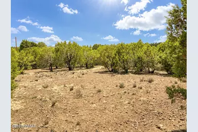 15 County Road 3180, Vernon, AZ 85940 - Photo 2