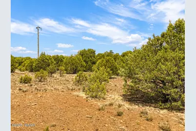 15 County Road 3180, Vernon, AZ 85940 - Photo 6