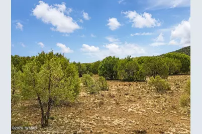 15 County Road 3180, Vernon, AZ 85940 - Photo 4