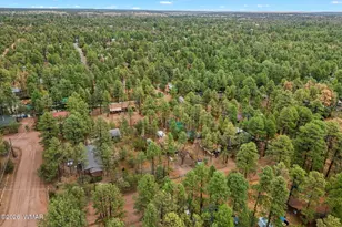2164 S Woods Dr, Overgaard, AZ 85933 - Photo 28