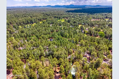 3219 Drift Fence Circle, Pinetop, AZ 85935 - Photo 28