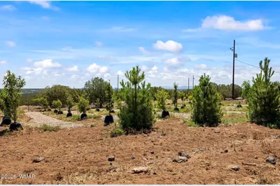 8085 Well Road, Show Low, AZ 85901 - Photo 30