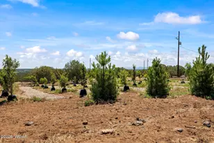 8085 Well Rd, Show Low, AZ 85901 - Photo 30