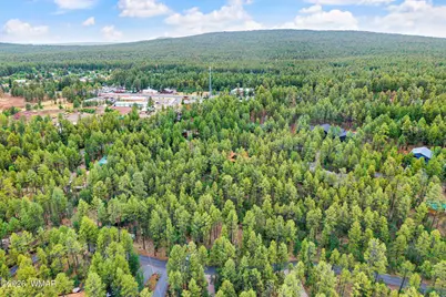 2094 Brown Bear Loop, Pinetop, AZ 85935 - Photo 6