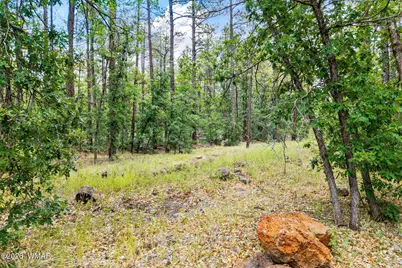 2094 Brown Bear Loop, Pinetop, AZ 85935 - Photo 2