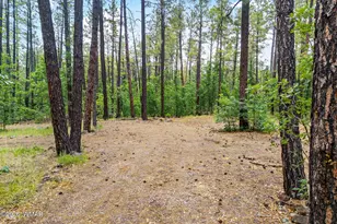 2094 Brown Bear Loop, Pinetop, AZ 85935 - Photo 1