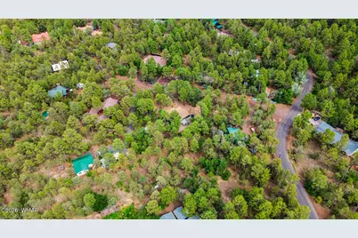 1316 N Pine Rest Drive, Lakeside, AZ 85929 - Photo 48