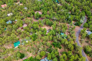 1316 N Pine Rest Dr, Lakeside, AZ 85929 - Photo 48