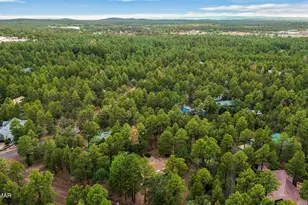 1316 N Pine Rest Dr, Lakeside, AZ 85929 - Photo 44
