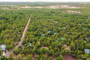 1316 N Pine Rest Dr, Lakeside, AZ 85929 - Photo 46