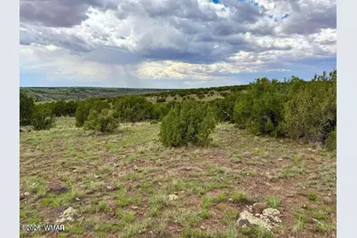 83 County Rd. 8128, Concho, AZ 85924 - Photo 8