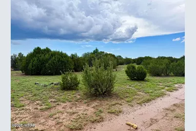 83 County Rd. 8128, Concho, AZ 85924 - Photo 6