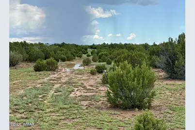 83 County Rd. 8128, Concho, AZ 85924 - Photo 4