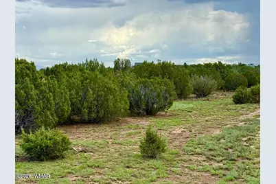 83 County Rd. 8128, Concho, AZ 85924 - Photo 2