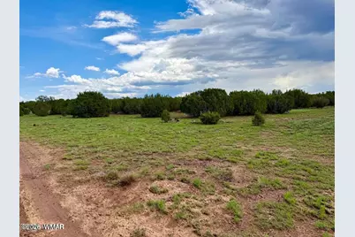 85 Cr 8128 Lots 100, 101 &amp; 108, Concho, AZ 85924 - Photo 6