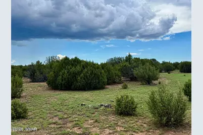 85 Cr 8128 Lots 100, 101 &amp; 108, Concho, AZ 85924 - Photo 4