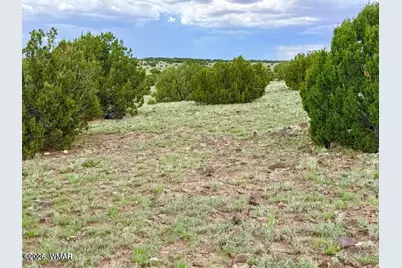 85 Cr 8128 Lots 100, 101 &amp; 108, Concho, AZ 85924 - Photo 16