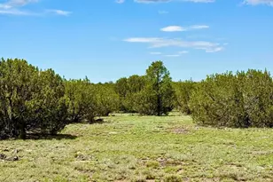 85 Cr 8128 Lots 100 101 &amp 108, Concho, AZ 85924 - Photo 1