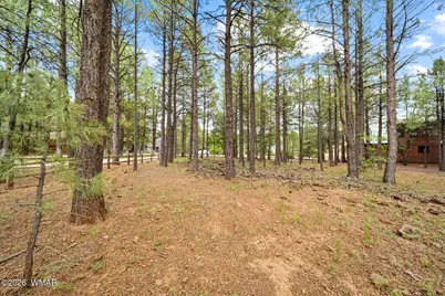 3194 Viking Trail, Pinetop, AZ 85935 - Photo 8