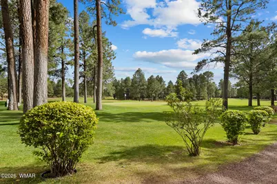 3194 Viking Trail, Pinetop, AZ 85935 - Photo 2
