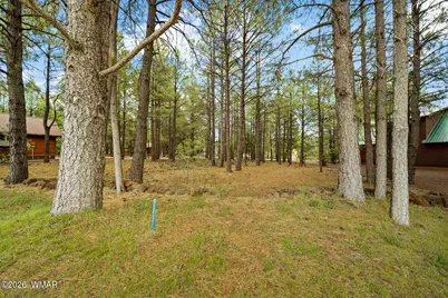 3194 Viking Trail, Pinetop, AZ 85935 - Photo 4