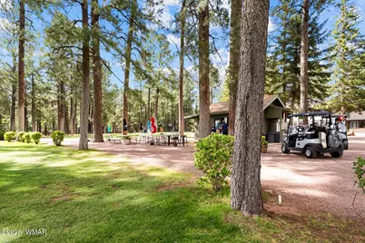 3194 Viking Trail, Pinetop, AZ 85935 - Photo 12
