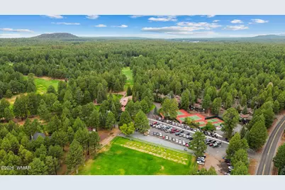 3194 Viking Trail, Pinetop, AZ 85935 - Photo 16