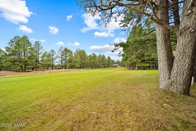 3194 Viking Trail, Pinetop, AZ 85935 - Photo 10