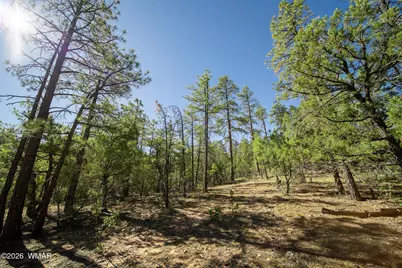 4501 S White Mountain Road, Show Low, AZ 85901 - Photo 10