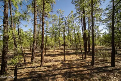 4501 S White Mountain Road, Show Low, AZ 85901 - Photo 12