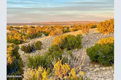 Woodland Valley Ranch Lot 902, Saint Johns, AZ 85936 - Photo 6