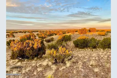 Woodland Valley Ranch Lot 902, Saint Johns, AZ 85936 - Photo 16