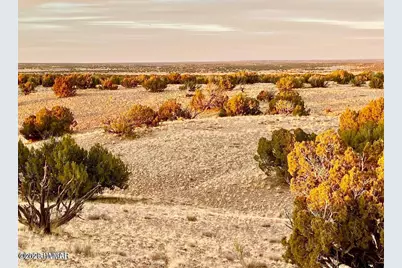 Woodland Valley Ranch Lot 902, Saint Johns, AZ 85936 - Photo 14