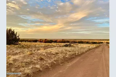 Woodland Valley Ranch Lot 902, Saint Johns, AZ 85936 - Photo 8
