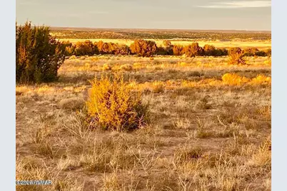 Woodland Valley Ranch Lot 902, Saint Johns, AZ 85936 - Photo 18