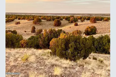 Woodland Valley Ranch Lot 902, Saint Johns, AZ 85936 - Photo 10