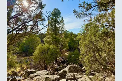 1838 Rocky Bottom Place, Show Low, AZ 85901 - Photo 1