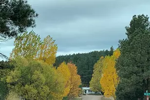2558 Bob O Link Dr, Show Low, AZ 85901 - Photo 2