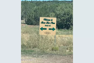 343 &amp; 344 Cr 8295, Concho, AZ 85924 - Photo 2