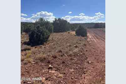 343 &amp; 344 Cr 8295, Concho, AZ 85924 - Photo 4