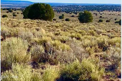 River Meadows Ranch Unit 3 Lot 204, Concho, AZ 85924 - Photo 2