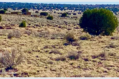 River Meadows Ranch Unit 3 Lot 204, Concho, AZ 85924 - Photo 20
